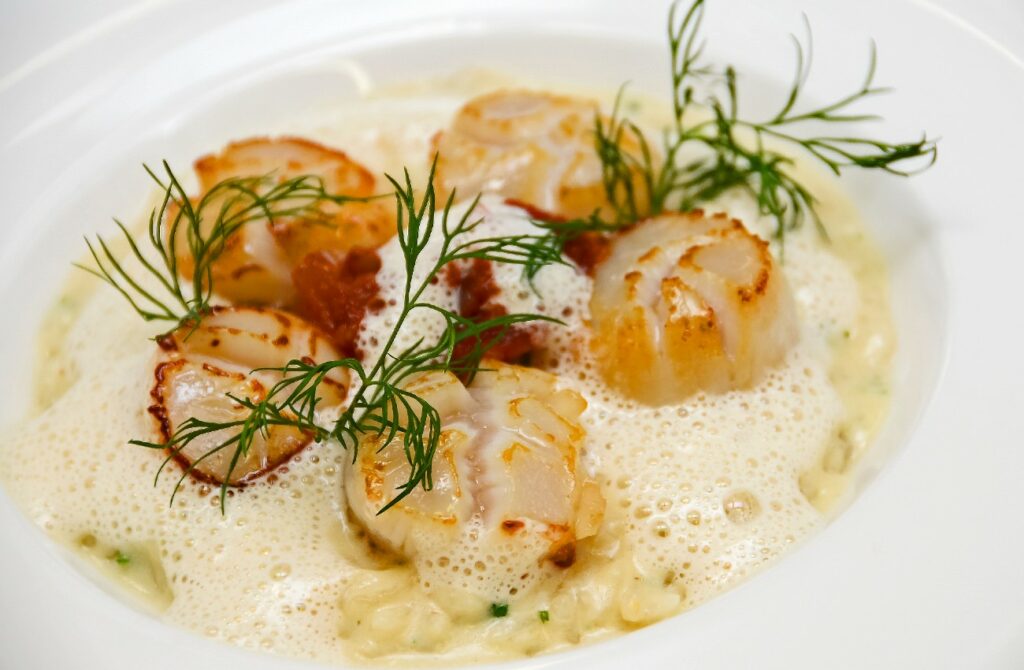 Les coquilles Saint-Jacques comme plat de noël