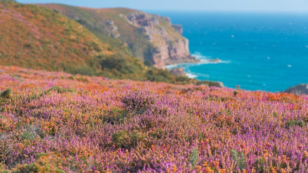 Réservez maintenant vos vacances d'été en Bretagne ! 